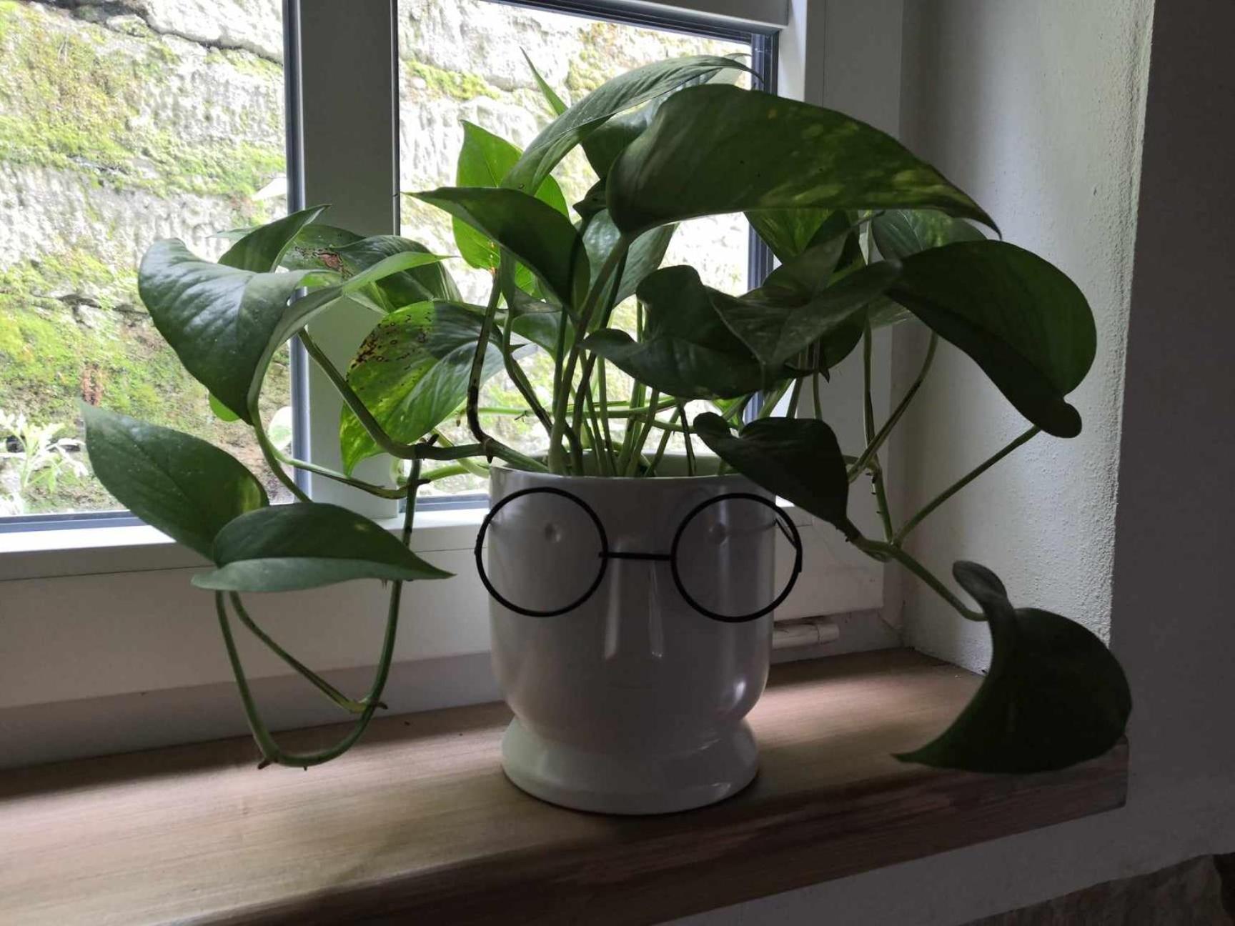 Apartmán Hřensko32 Exteriér fotografie