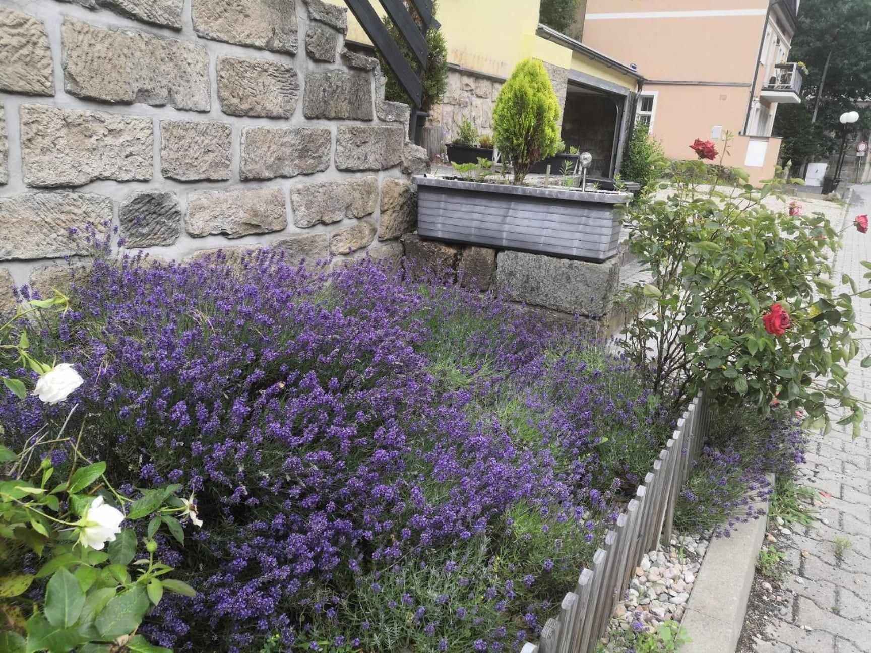 Apartmán Hřensko32 Exteriér fotografie